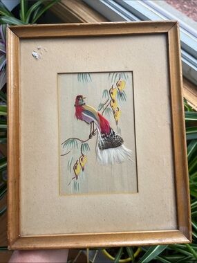 Vtg Mexican Folk Art Feathers/Hand Painted Bird On Limb Framed *READ*
